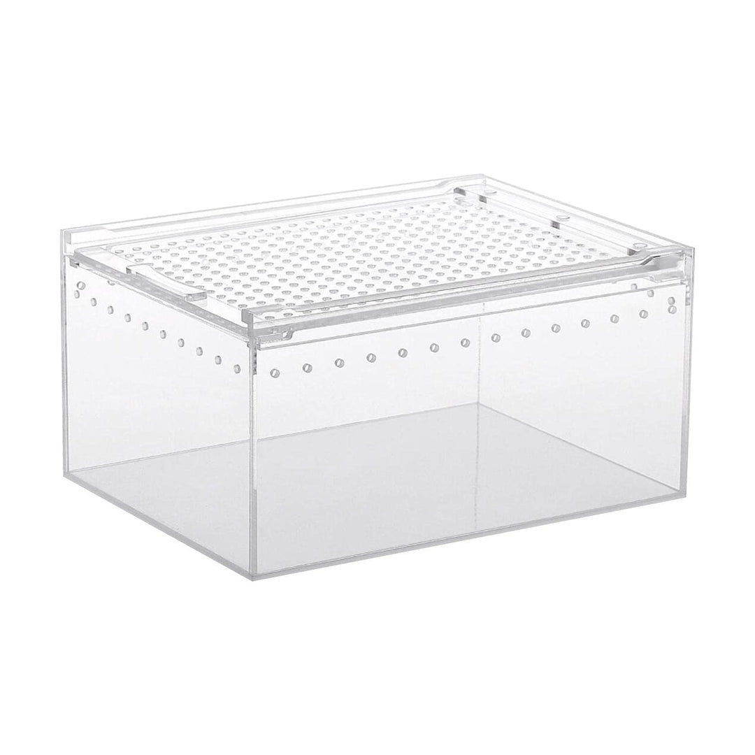 Durchsichtige Reptilienaufzuchtbox, Acryl Reptilienfutterbox, Futterbox Für Insekten Reptilien Vogel
