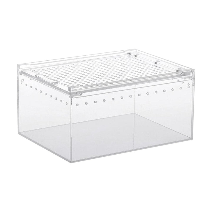 Durchsichtige Reptilienaufzuchtbox, Acryl Reptilienfutterbox, Futterbox Für Insekten Reptilien Vogel