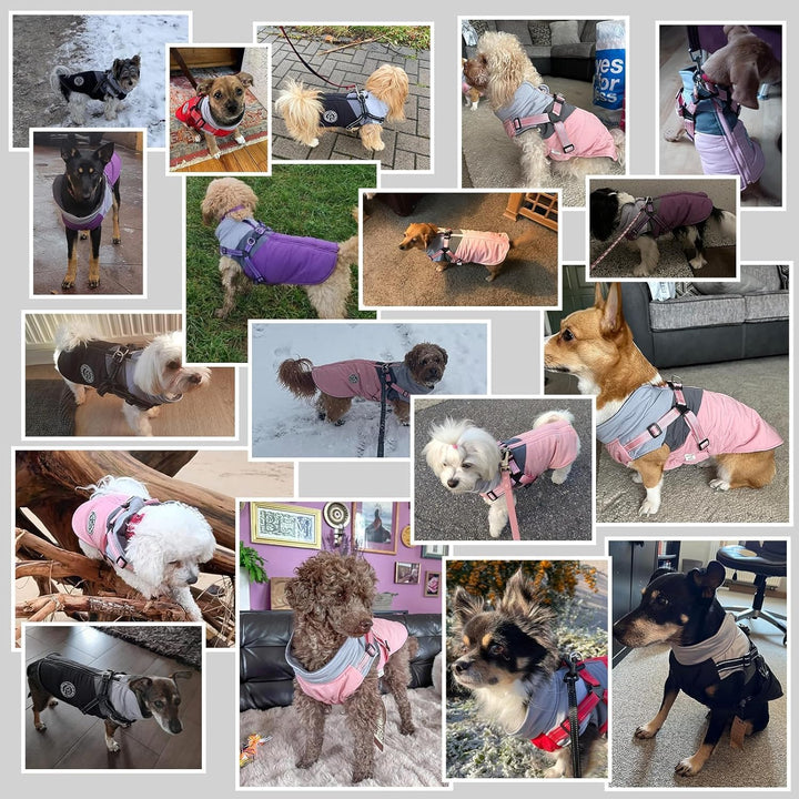 Wasserdichter Hundemantel Winter Warme Jacke Winddichte Haustierkleidung Hundejacke Outfit für klein