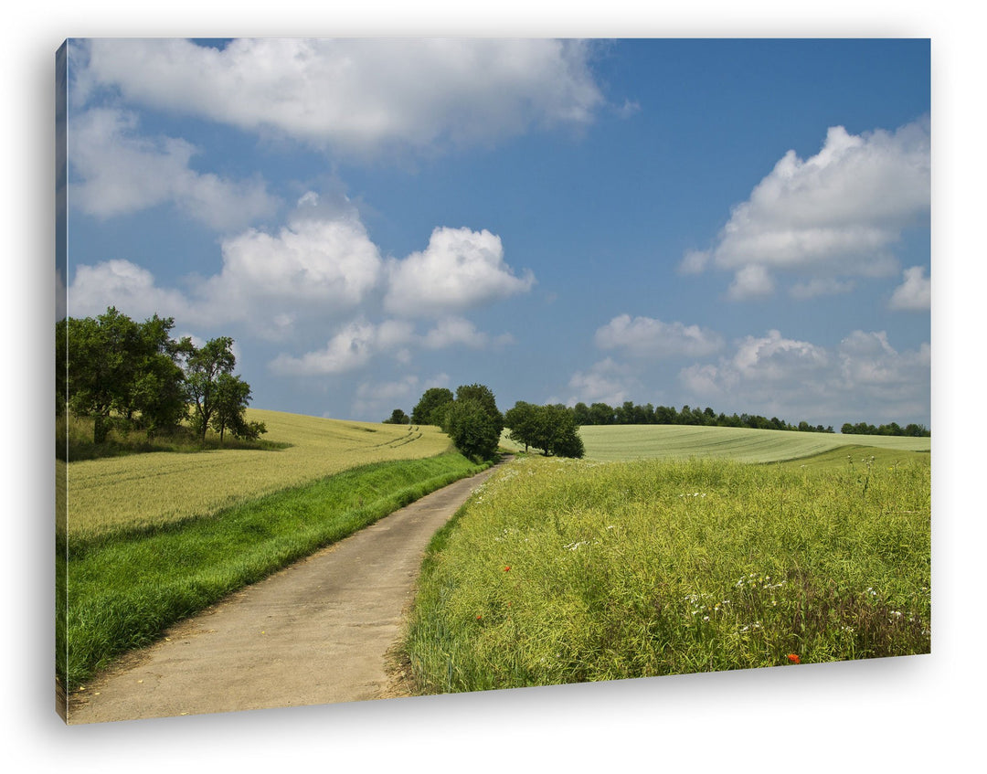 deyoli Feldweg im Sommer Format: 80x60 als Leinwandbild, Motiv fertig gerahmt auf Echtholzrahmen, Ho