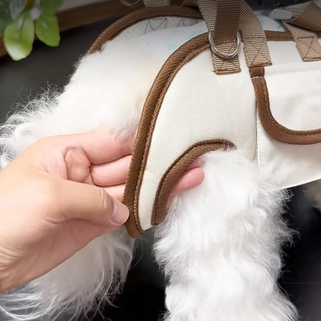 Hundetasche Mit Hunde Weste, Haustierweste Mit Riemen Für Kleiners Hunde Und Katzen, Tragbare Umhäng