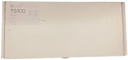 Bluesound TS100 2Maximale VESA Norm:VESA 75 x 75
