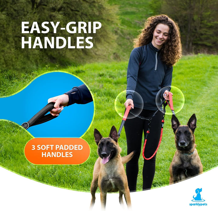 Hundeleine für 2 Hunde mit Bungee Verlängerung für Grosse und Mittelgrosse Hunde mit Ruckdämpfer | R