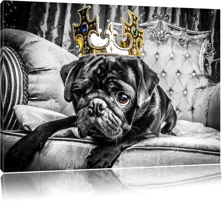 Mops mit Krone auf Thron schwarz/weiss Format: 100x70 auf Leinwand, XXL riesige Bilder fertig gerahm