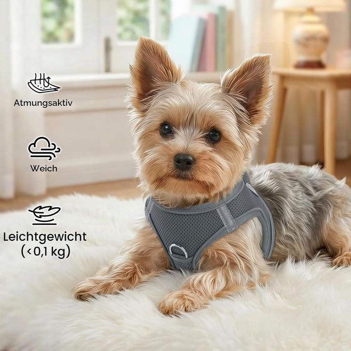 Joytale Hundegeschirr, Reflektierend Weich Gepolstert Hunde Geschirr, Air-Mesh Atmungsaktiv Brustges