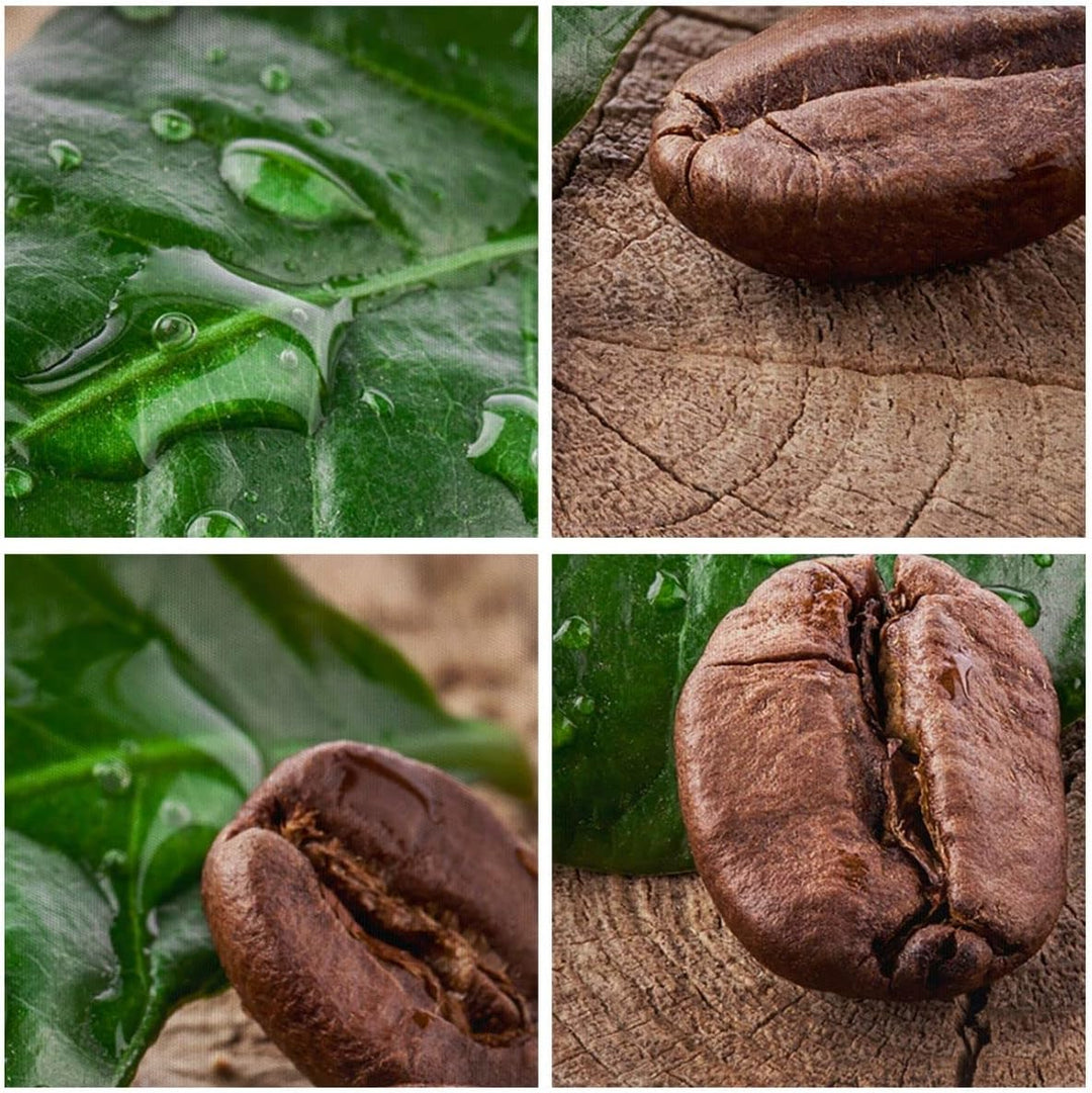 Bilder auf Leinwand Aroma Kaffee Pflanze Samen Leinwandbild 70x50cm Wandbilder Dekoration Wohnzimmer
