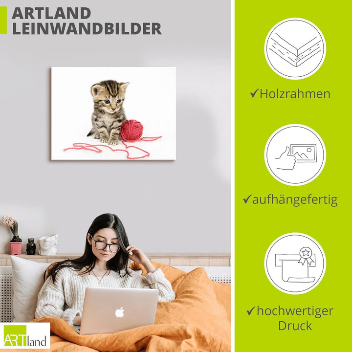 ARTland Leinwandbilder Wandbild Bild auf Leinwand 80x60 cm Katze Tiere Babykatze Haustiere Süss Mädc
