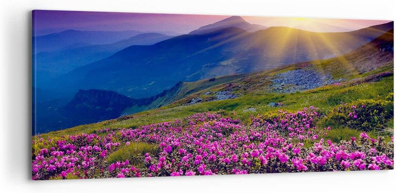 Wandbilder Dekoration Wohnzimmer Wiese Berge Landschaft Panorama Bilder auf Leinwand 120x50cm Leinwa