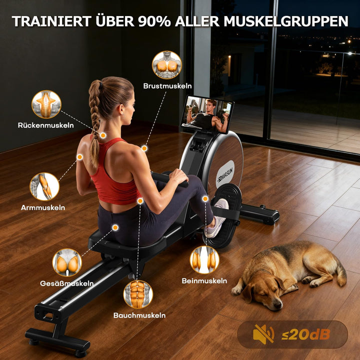 [2026 Neu] Rudergerät für Zuhause, DMASUN Magnetisches Rudergerät mit Upgrade Doppel-Slide-Rails, AP