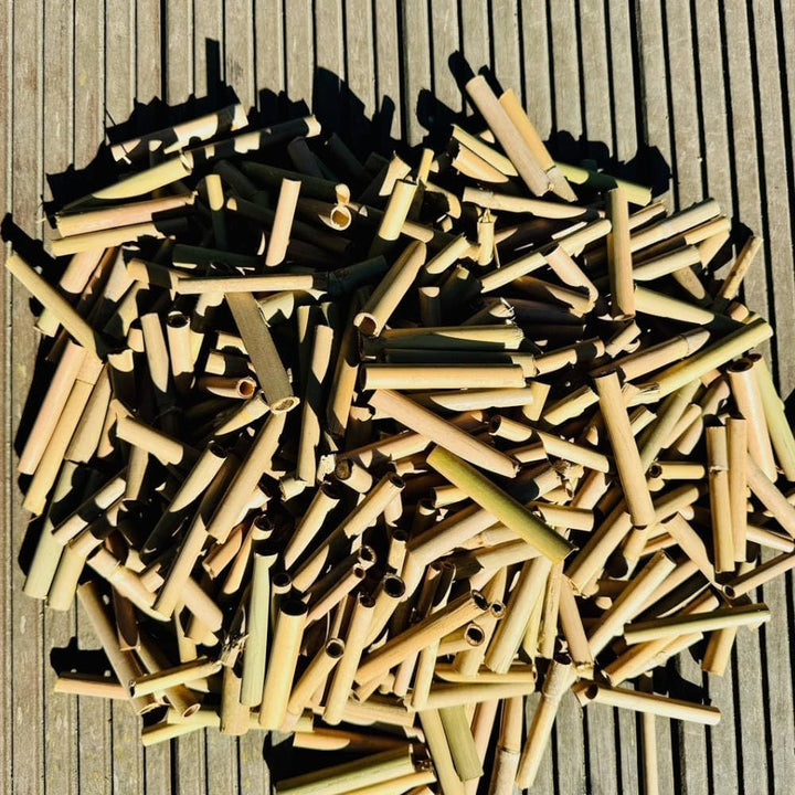 DARLUX 1000 x Baumbusröhrchen I Nisthilfe für Wildbienen I Insektenhotel Füllmaterial 6 und 8 mm Ø I