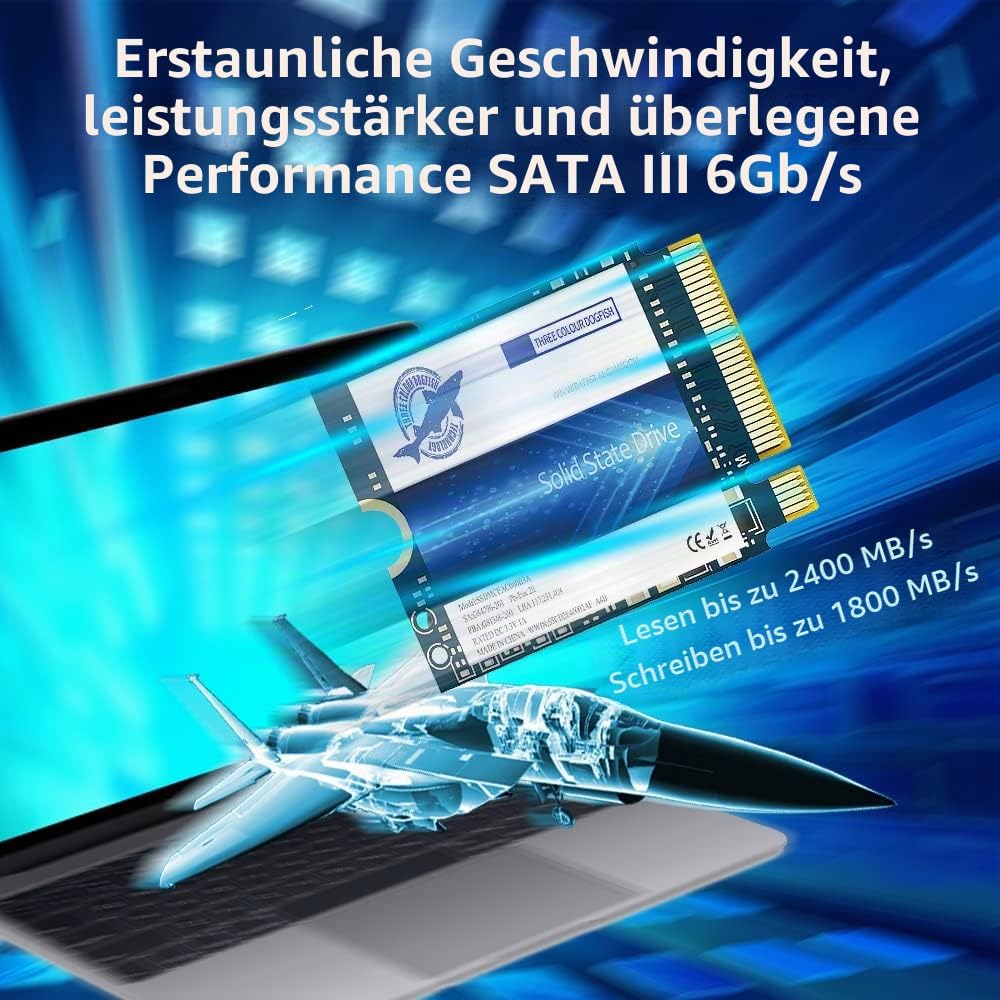 Dogfish SSD 256GB M.2 2230 NVMe PCIe Gen 3.0 x4 Interne Solid State Drive, Gaming SSD, Kompatibel mi