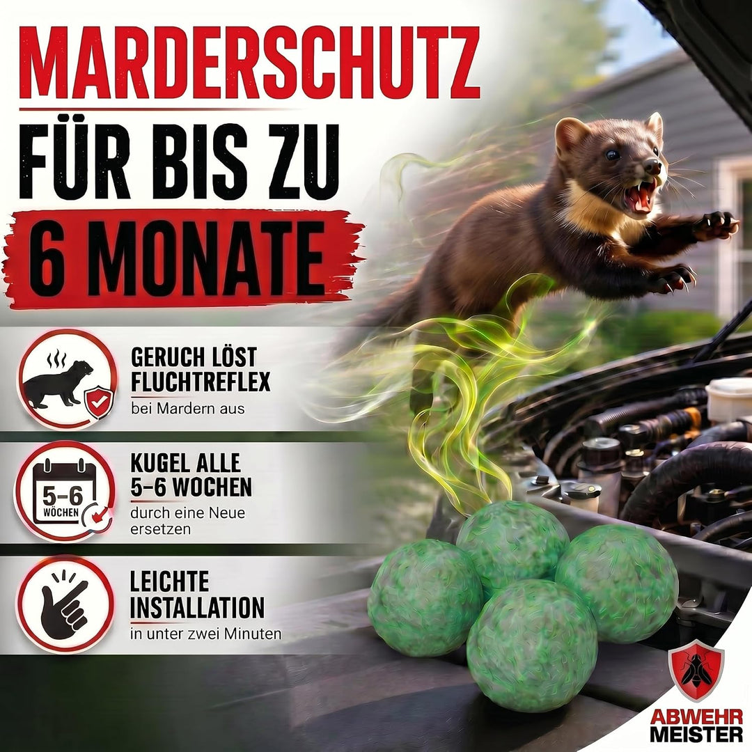 ABWEHR MEISTER NEUHEIT- 4X Marderschreck-Kugeln inkl. PKW- Halterung, Marderschreck Auto mit Sofort