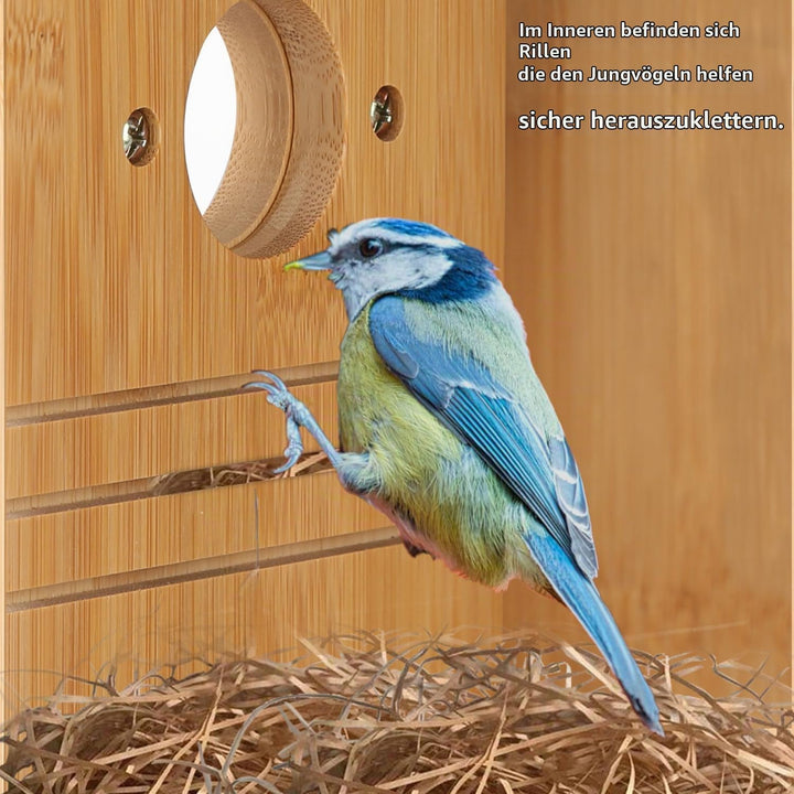 2er Vogelhaus Bausatz Set, Nistkästen für Vögel für Draussen Wetterfest, Vogelhaus zum Aufhängen, Ne