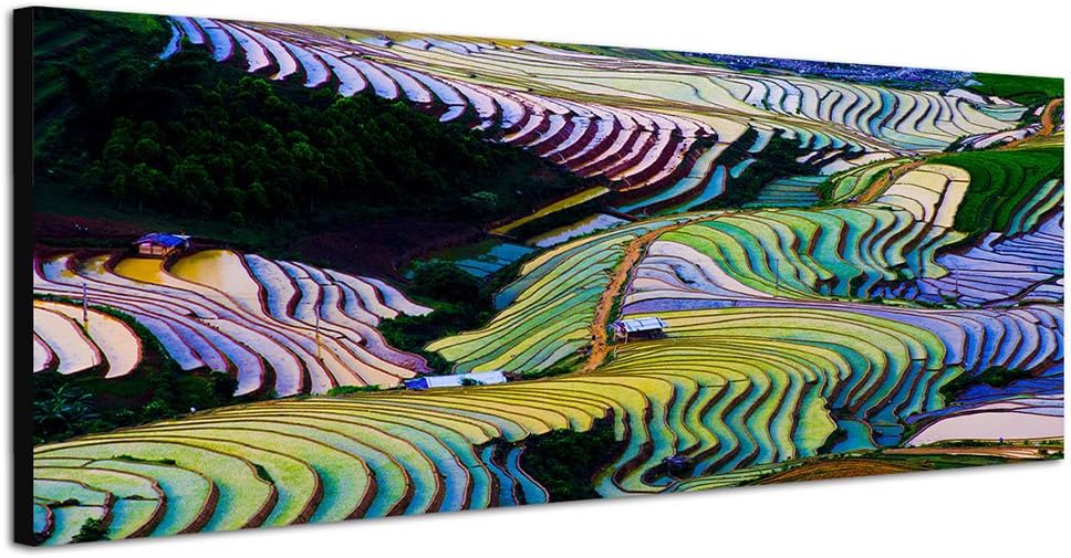 Paul Sinus Art Panoramabild auf Leinwand und Keilrahmen 150x50cm Vietnam Reisterrassen bunt