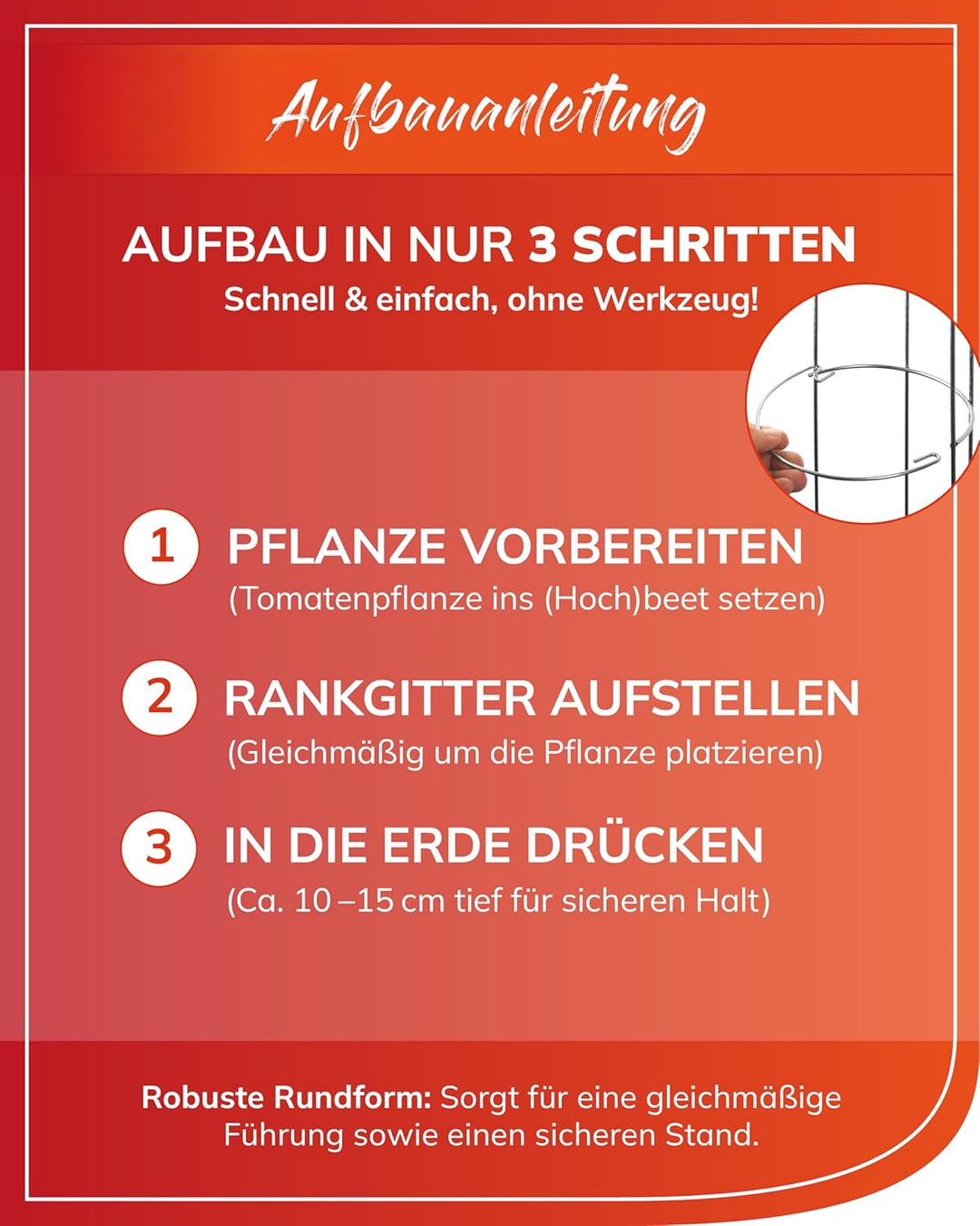 bellissa - Tomaten Rankhilfe 175cm (2 Stück) – Spirale aus Metall verzinkt – Wetterfestes Rankgitter