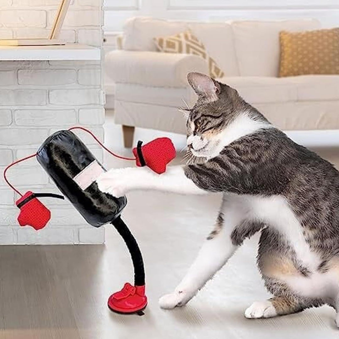 Boxsack mit Handschuhen Katzenspielzeug, EIN Katzen-Boxspielzeug - Boxsack für Katzen für Kätzchen |