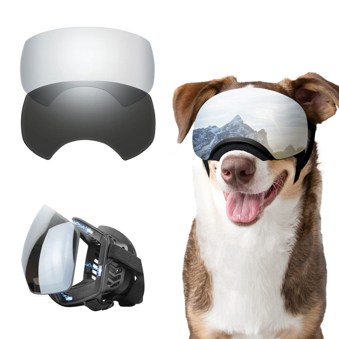 NAMSAN Hunde Sonnenbrille Hundebrille Sonnenbrillen für Hunde Verstellbarer Riemen für UV-Sonnenbril