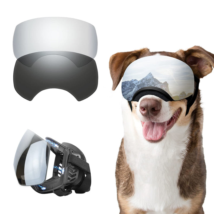 NAMSAN Hunde Sonnenbrille Hundebrille Sonnenbrillen für Hunde Verstellbarer Riemen für UV-Sonnenbril