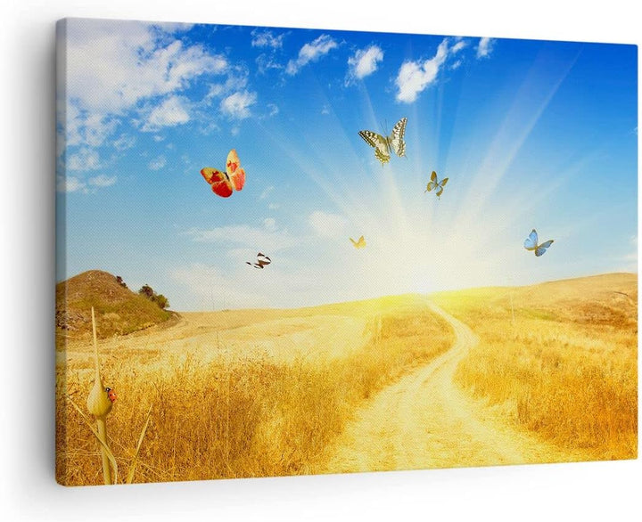 Bilder auf Leinwand Schmetterlinge Wiese Gras Leinwandbild 70x50cm Wandbilder Dekoration Wohnzimmer