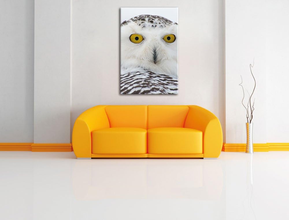 Pixxprint Schnee-Eule, Format: 100x70 auf Leinwand, XXL riesige Bilder fertig gerahmt mit Keilrahmen
