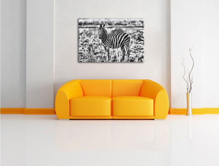 Pixxprint Zebra im Wildgras / 100x70cm Leinwandbild bespannt auf Holzrahmen/Wandbild Kunstdruck Deko