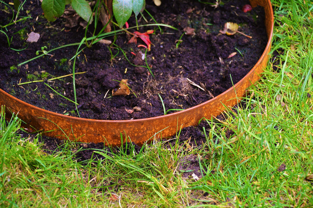 Rasenkanten Baumring Corten Kreis Ø 75 cm x 24 cm Edelrost - 1er Set