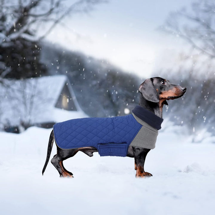 Geyecete Hundemantel Dackel, Dackel Wintermantel, Warmer Quilten Dackelmantel mit Geschirr Loch,Wind