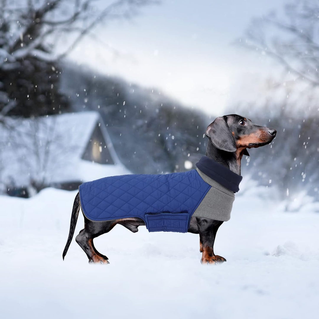Geyecete Hundemantel Dackel, Dackel Wintermantel, Warmer Quilten Dackelmantel mit Geschirr Loch,Wind