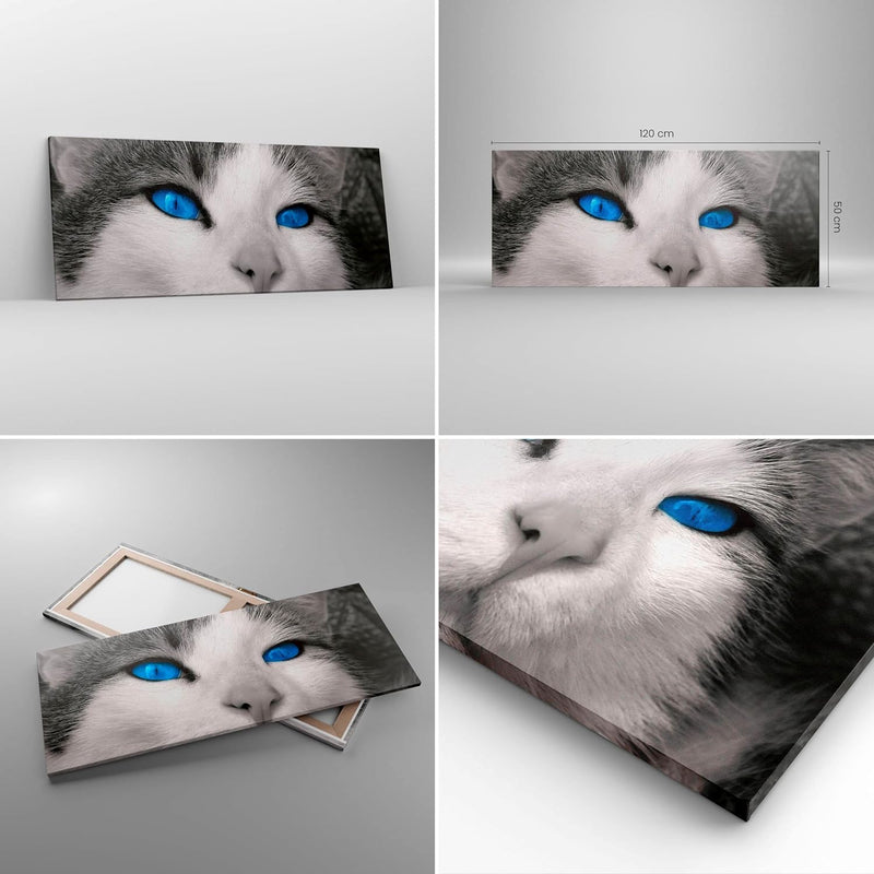 Wandbilder Dekoration Wohnzimmer Katze Tiere blaue Augen Panorama Bilder auf Leinwand 120x50cm Leinw