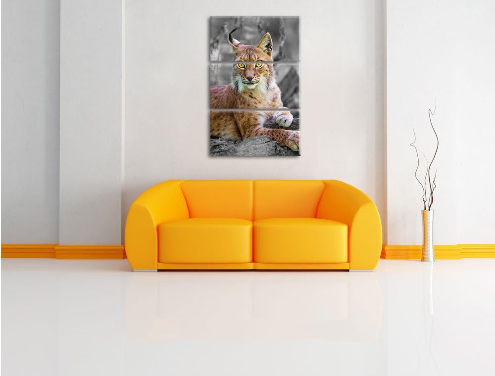 Pixxprint hübscher aufmerksamer Luchs / 3-Teilig/Gesamtmass 120cm Leinwandbild bespannt auf Holzrahm