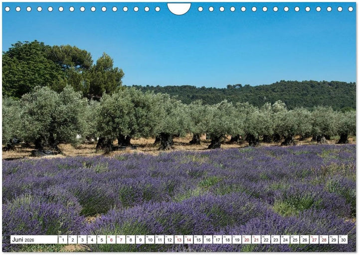 Mit dem Rennrad zum Mont Ventoux (Wandkalender 2026 DIN A4 quer), CALVENDO Monatskalender: Bilder vo