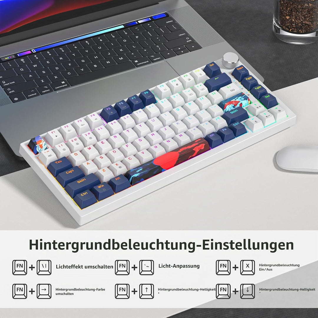 SOLIDEE Verkabelte 75% Mechanische Gaming-Tastatur,hot-swap-fähige Mechanische Tastatur mit Gasket S