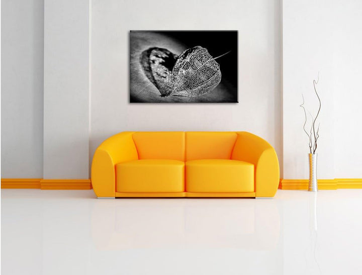 Pixxprint Schatten Einer Physalis / 100x70cm Leinwandbild bespannt auf Holzrahmen/Wandbild Kunstdruc