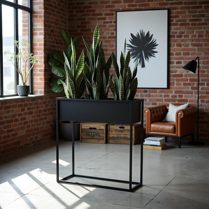 Pflanzenständer Petto - 60x21x60cm - Farbe Schwarz - für Zimmerblumen - Metallregal - Dekorativer Ti
