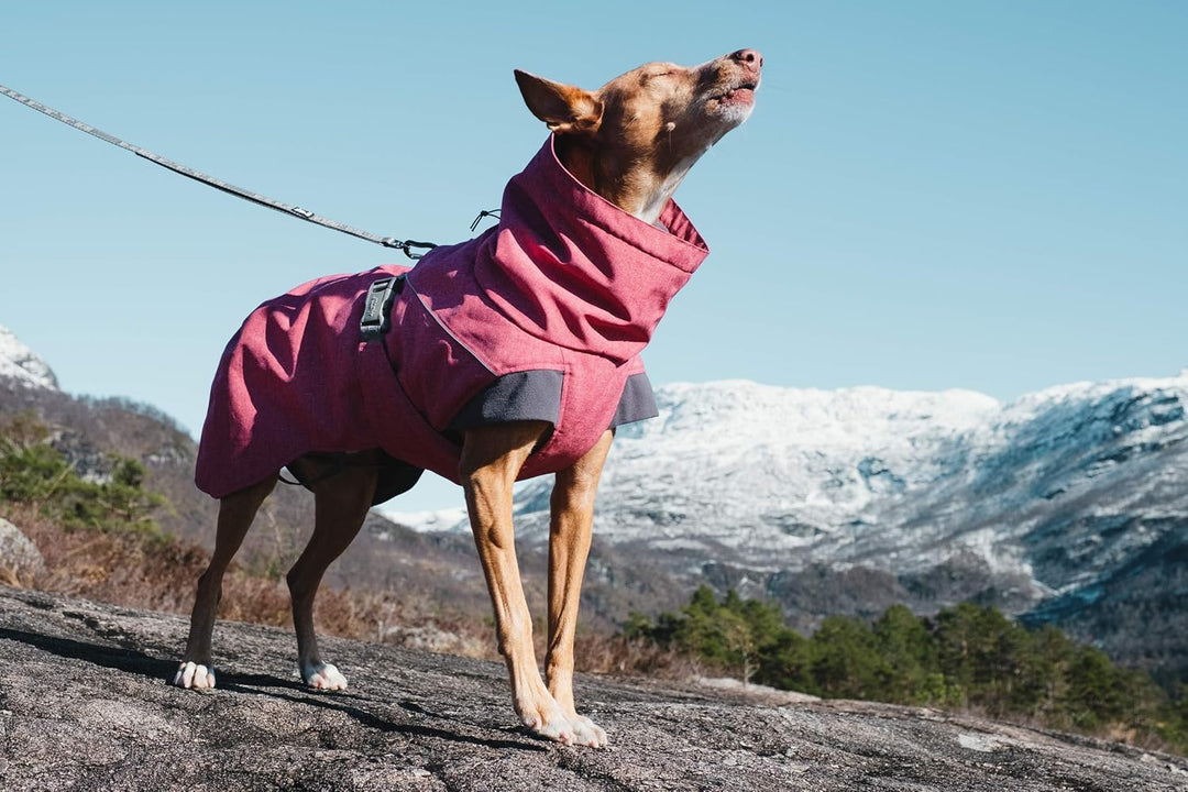 Hurtta Expedition Parka Wintermantel für Hunde, Hundemantel Beetroot, dunkel rosa 45XS Rot - Beetroo