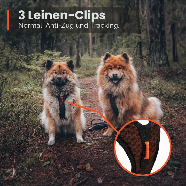 Non-Stop dogwear Rock Harness |130| Führ und Alltagsgeschirr, Grösse:L Schwarz L, Schwarz L