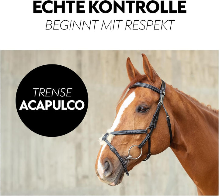 SUNRIDE mexikanische Trense Acapulco mit Zügel - aus Echtleder mit Fell, gepolstert, anatomisch (Cob