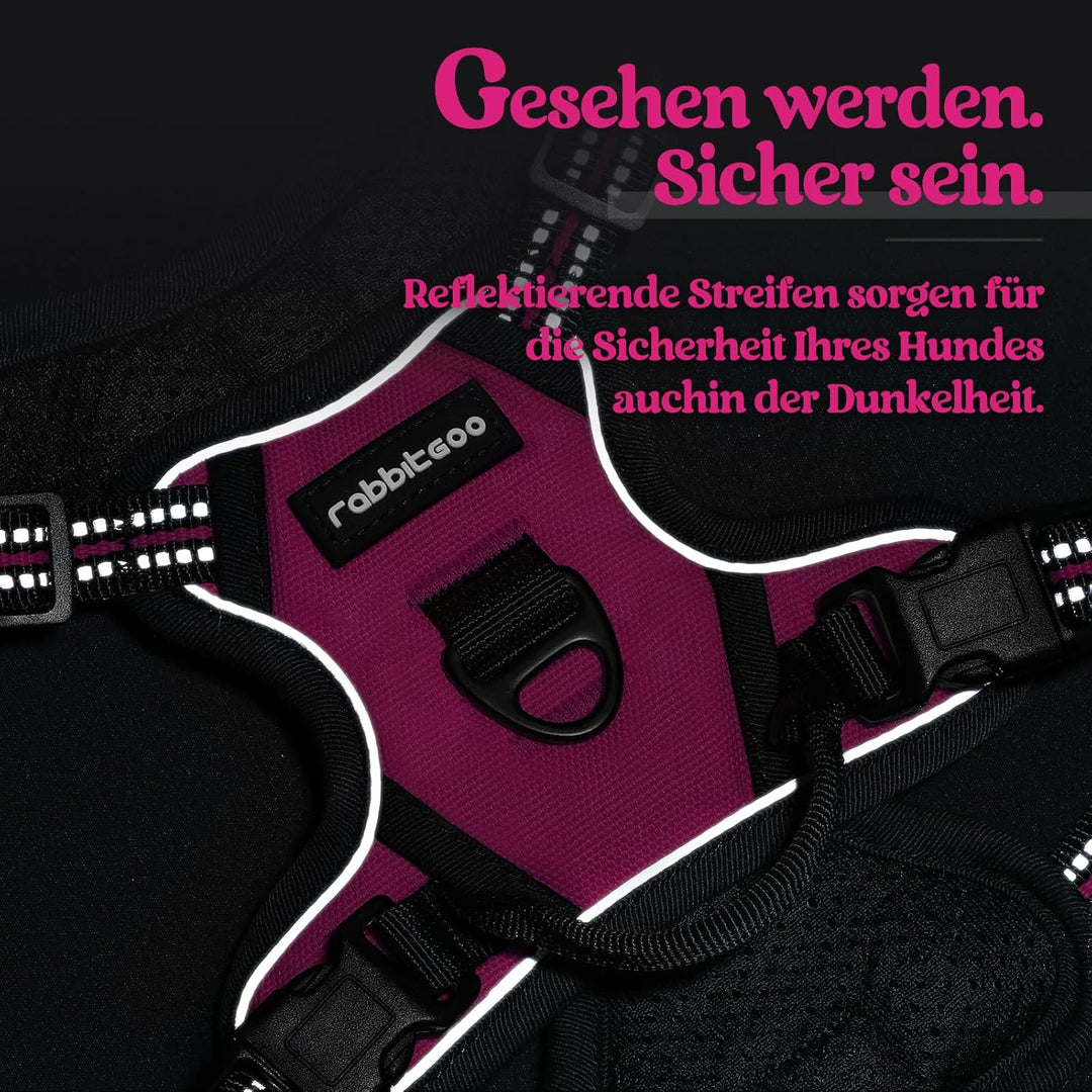 rabbitgoo Hundegeschirr Kleine Hunde, Anti Zug Geschirr mit Kontrolle, No Pull Verstellbar Hundegesc