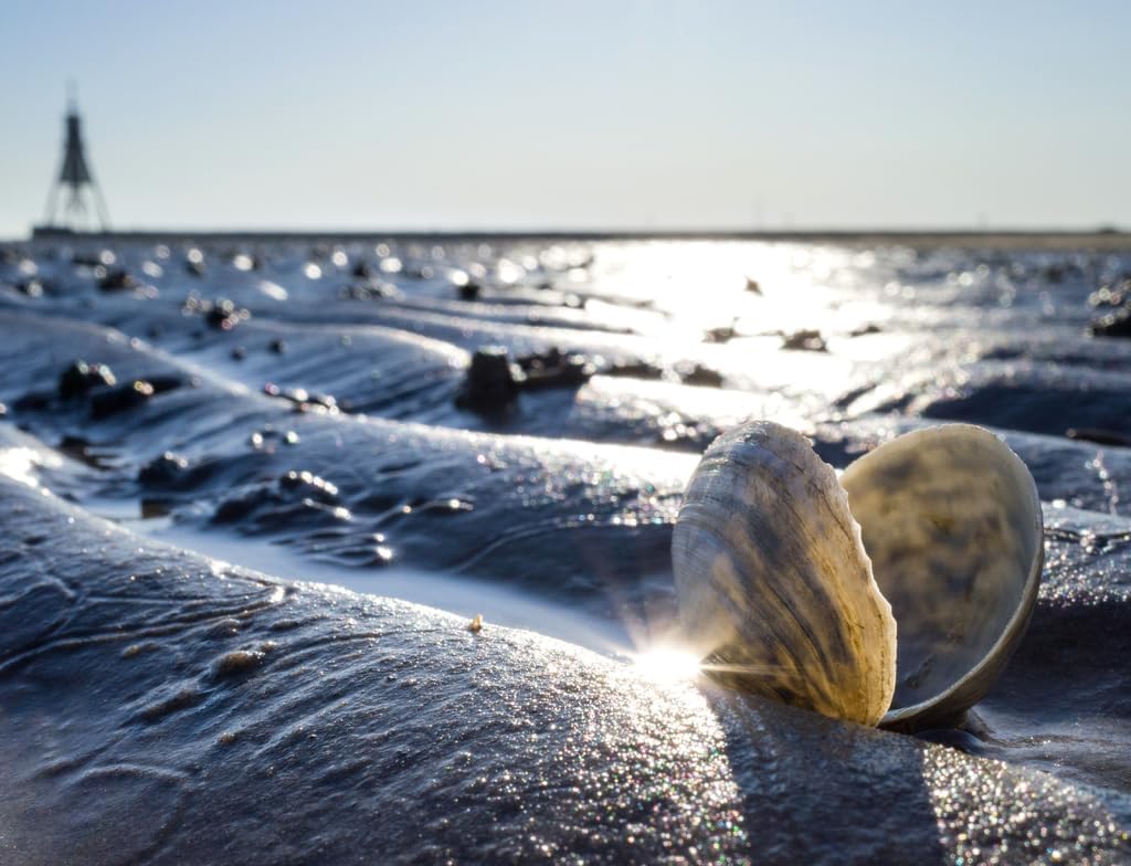 Lais Puzzle Sandschneise im Wattenmeer in Cuxhaven mit der Kugelbake, einem historischen Hilfsmittel