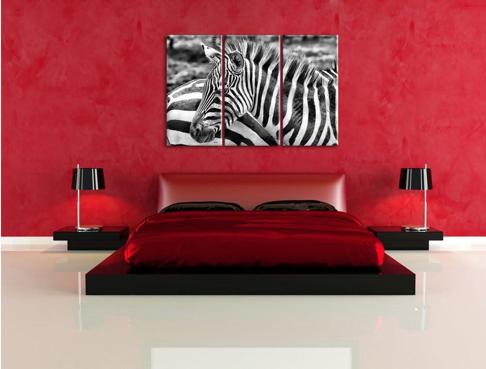 Pixxprint prächtiges Zebra als Leinwandbild | Grösse: 3 Teilig (120x80) | Wandbild| Kunstdruck | fer