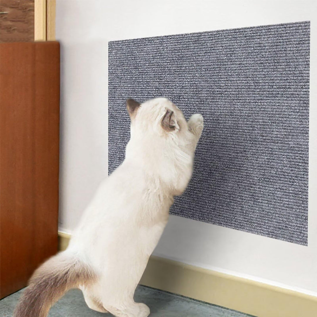Kratzmatte Katze selbstklebend Kratzschutz für Sofa, Katze, Bäume, Wandmöbel, Kratz- und Couch, 200