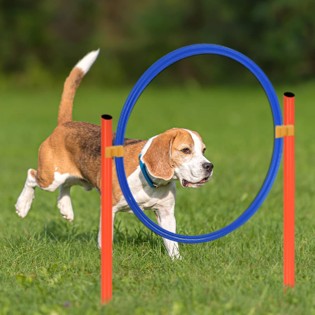 AufuN Agility Ausrüstungs Set für Hunde, Training Hindernisse mit Hundetunnel,Geflochtene Stangen, S