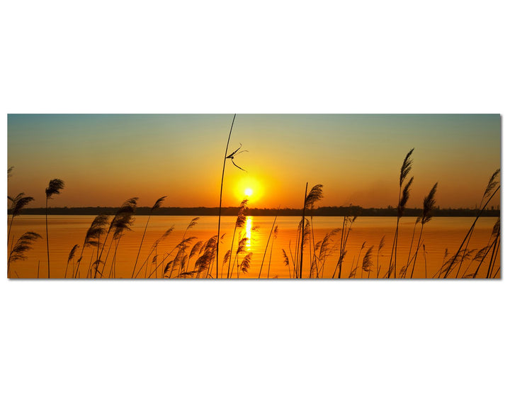 Paul Sinus Art Panoramabild XXL auf Leinwand und Keilrahmen 180x70cm Fluss Gräser Sonnenuntergang Hi