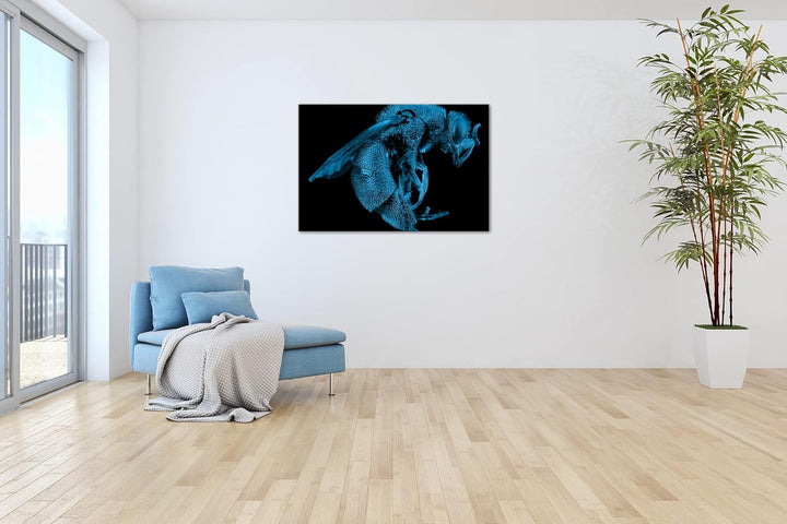 deyoli Dark gigantische Blaue Biene Format 80x60 Effekt: Monocrome Blau als Leinwandbild, Motiv fert