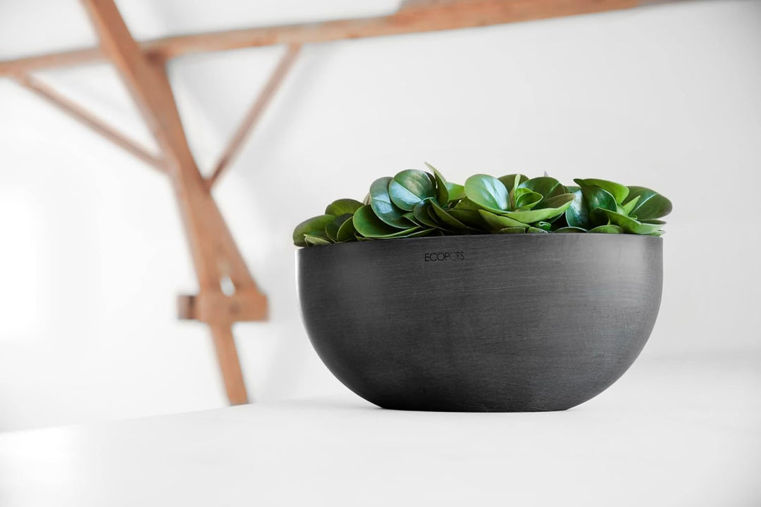 Ecopots Pflanzschale Sofia Dunkel Grau - 30 x 13 cm oval gross - Pflanzentopf aus Recycling Kunststo