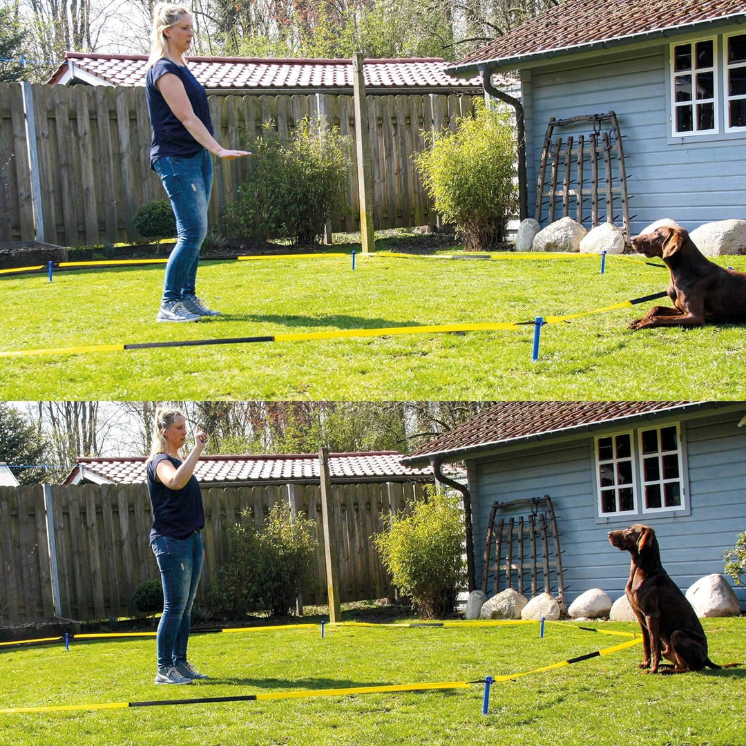 Schecker Longier Set für Hunde mit einem Radius von 3-3,5 m stärkt Konzentration Aufmerksamkeit long