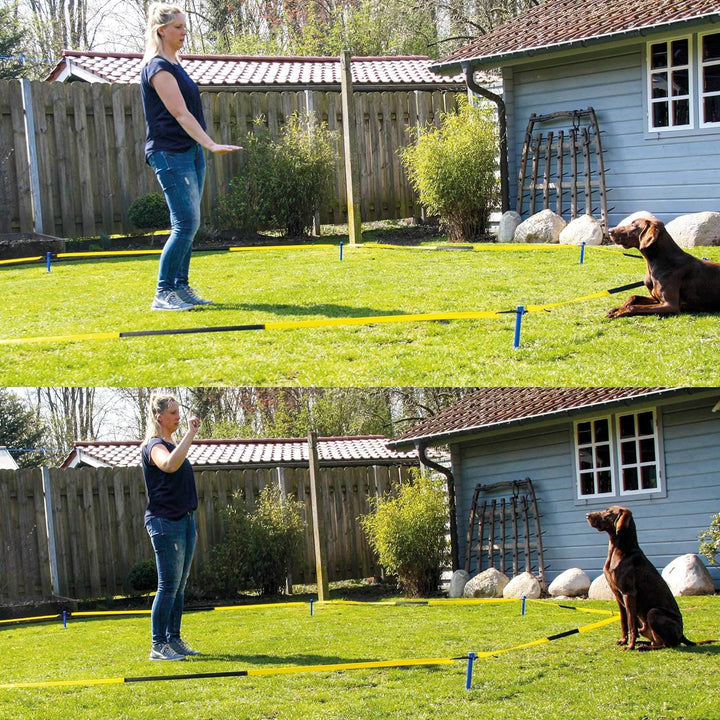Schecker Longier Set für Hunde mit einem Radius von 3-3,5 m stärkt Konzentration Aufmerksamkeit long