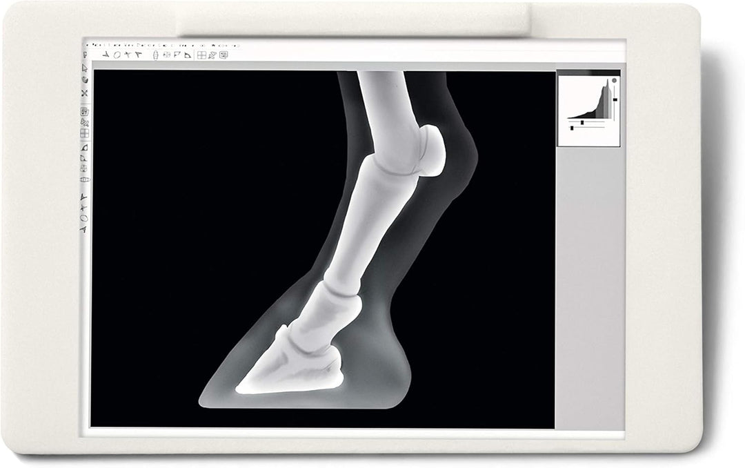 SCHLEICH 42370 Mobile Tierärztin mit Hannoveraner Fohlen, für Kinder ab 5 Jahren, Horse Club - Spiel