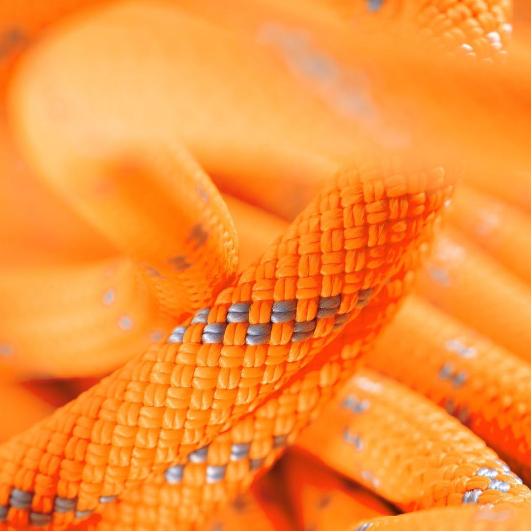 Mammut Seil 9.5 Alpine Dry Kletterseil Dry - Safety Orange/Zen Lg 40, Dry - Safety Orange/Zen Lg 40