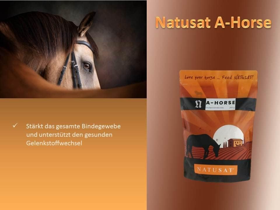 Natusat A-Horse 2100 g | mit Glucosamin, MSM, Chondroitin und L-Lysin | Für Pferdegelenke